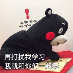 大一大二大三大四学生分别是怎么考会从的