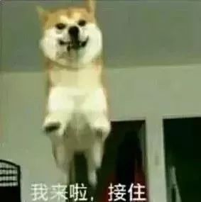 图收藏夹