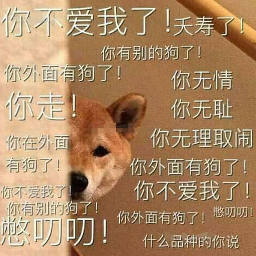 明日之后即便是再恶劣的环境,也无法阻止铲屎官那颗养狗子的心