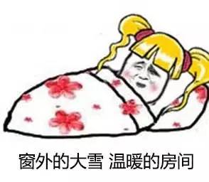 撕逼斗图表情包517期
