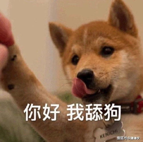 热门表情包图片像极了,你的脸皮