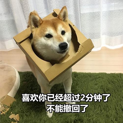 柴犬撩妹表情包你知道我最喜欢什么制服吗被你制服