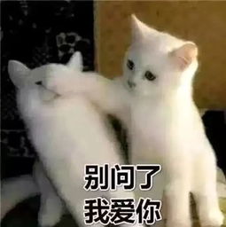 东华少女沐浴大迁徙