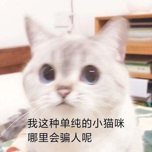可爱的小朋友是不会撒谎的,但是要当心哦