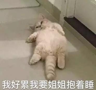 尸体火化酷似柏原崇的校霸喊我出来,我看着他吐了...
