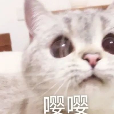 可爱兔兔表情包小羊