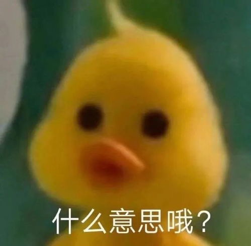 有个善于表达的男票有多幸福截图狠狠心动了真诚永远更胜一筹