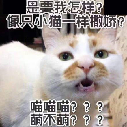 40天一年最凶险的日子来了广州将热到融化...