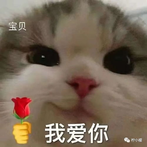 千万不要在海底捞要帅哥微信哈哈哈这画面就离谱