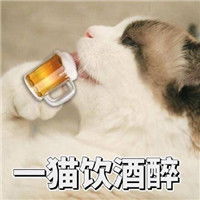 超会卖萌的可爱猫表情合集快抱走这组可爱猫表情吧