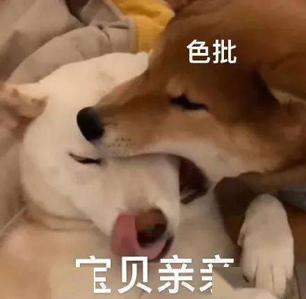 不进我的被子里吗