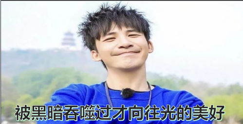 张伟小龙虾表情包开心一笑