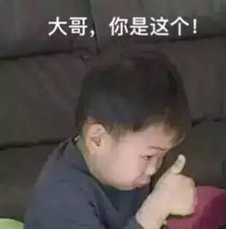 房产太多导致忘记自己买的房子,有钱人的生活就是如此枯燥