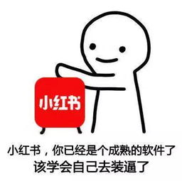 支付宝改自己还花呗表情包你已经是个成熟的软件系列表情包大全游戏吧