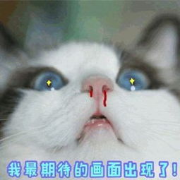 录取通知书说虽然天气热skr人了,但我已在路上