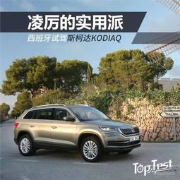 网通社汽车邯郸华众斯柯达