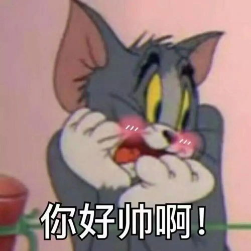 超搞笑表情包动画霹雳