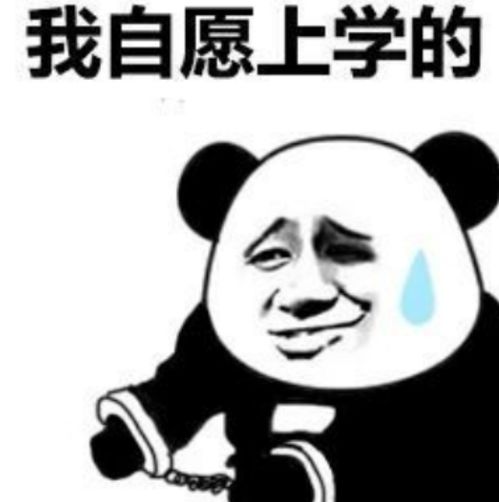 沙雕表情包打个广告,富婆加我
