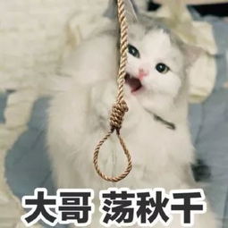 别随便更新app,它们羞耻起来你根本招架不住