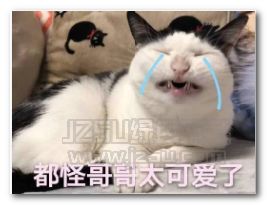 别动现在放的是我老公的歌表情图片别动现在放的是我老公的歌表情包高清版jz5u绿色下载站