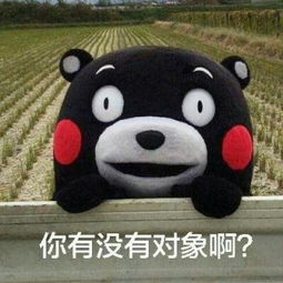 2017情人节熊本熊表情包下载2017情人节熊本熊表情包app下载2017情人节熊本熊表情包手机版下载