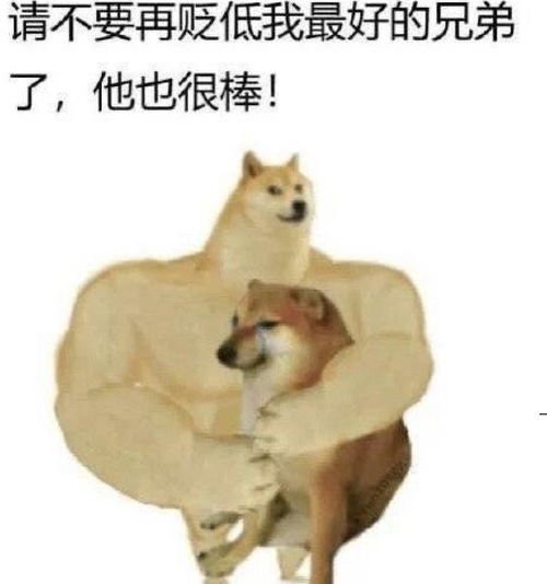 doge原型柴犬已出现黄疸,医生非常危险作为表情包界顶流,nft卖出近3000万
