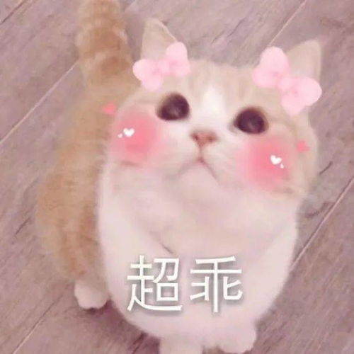热门沙雕表情包
