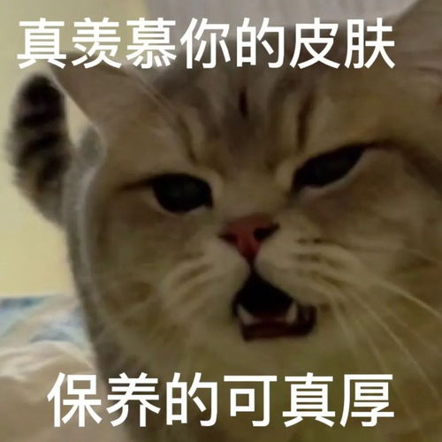 一些可爱的表情包