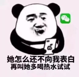搞笑表情包i中秋节大家公司都发了什么