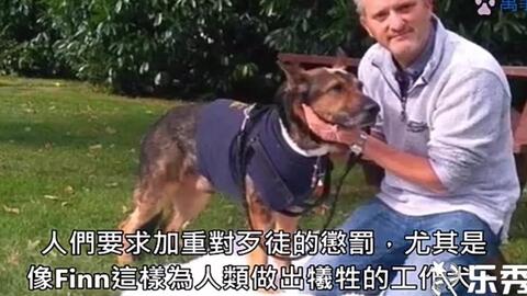 二哈帮马麻哄baby于是给他一吻,发现止不住哭声后...无奈不知所措的表情让大家笑死