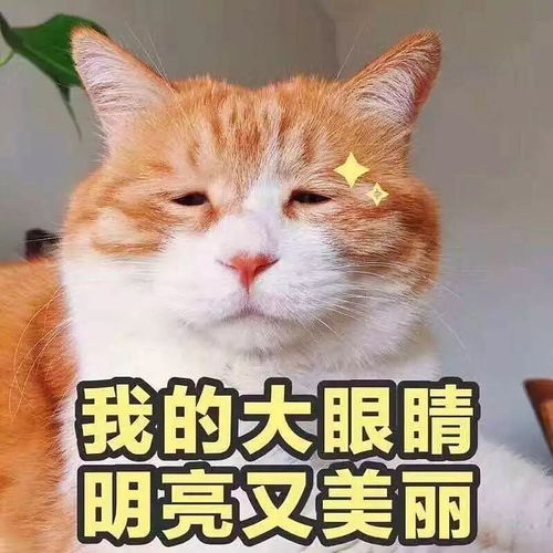 史上最全斗图装逼指南,给你们一个偷我表情包的机会