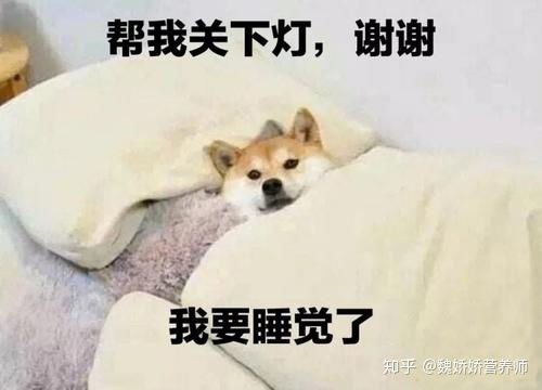 熬夜也会导致肥胖,那可是有事实依据的