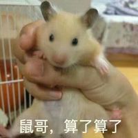 最新一组算了算了的搞笑表情包天气太热了算了算了