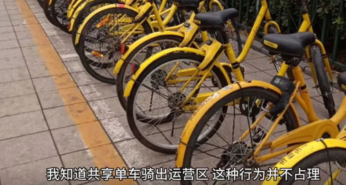 是个狠人网友骑共享单车进藏,路途远到骑出运营区域致车被上锁