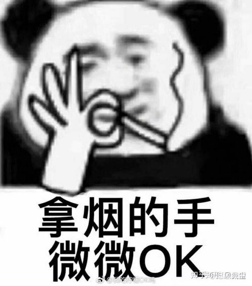 女生疯狂追女明星属于什么心理啊