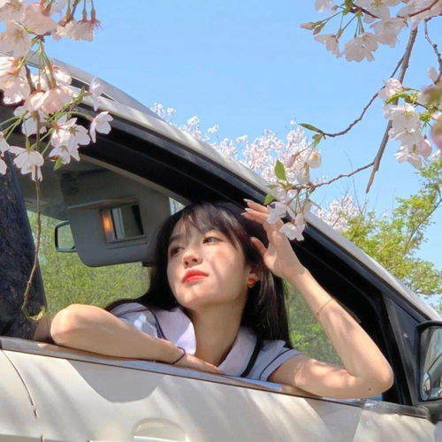 50岁女人最吉利的头像pu