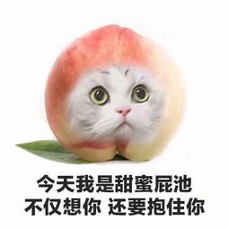 求表情包一系列的