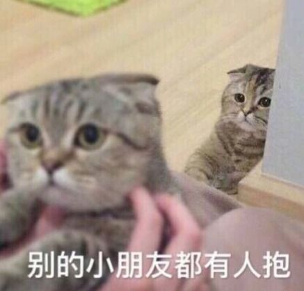 早起的人更瘦呵,宇宙不爆炸床都不会下