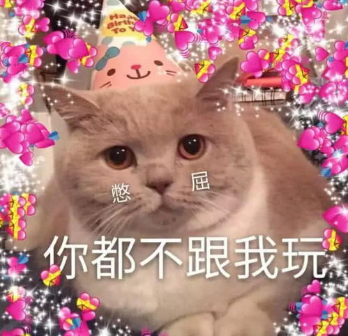 再也不怕惹猪猪男孩生气了,表情包踢过去你好意思不理我吗