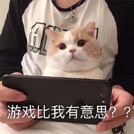 熊猫头扇耳光gif动图表情包动图gif头扇表情