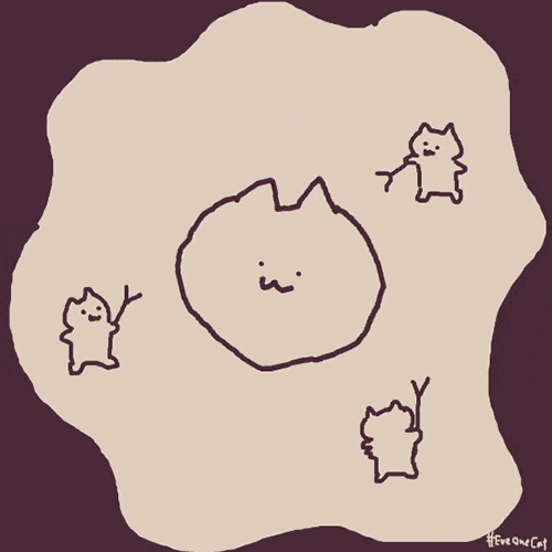魔性小猫咪动图表情包