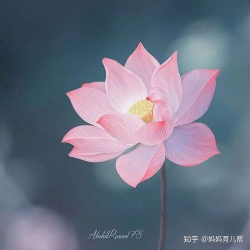朋友圈经典人生感悟,每一句都让人深思