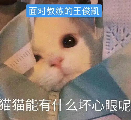 小坏坏打哈欠表情包徐楠