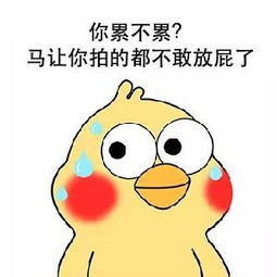 表情sir郑重送你四个字洗洗睡吧