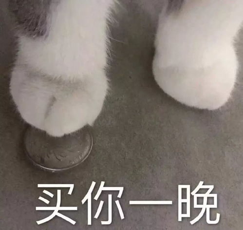 全网最大尺度情侣表情包,男票看完疯狂害羞心跳