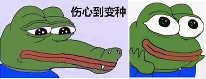 伤心蛙pepe倒下了,不如来个我萌故我在的小鸭表情包