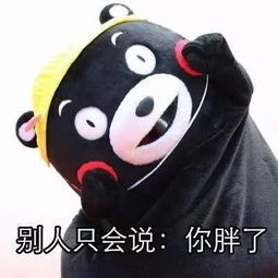 熊本熊表情包长得胖有什么好处
