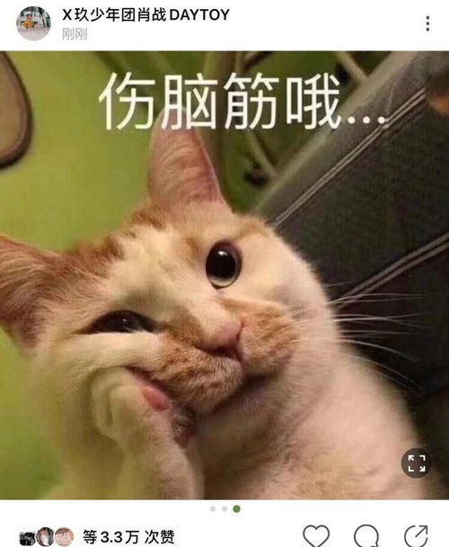 都在猜测肖战之前抖音拍了什么,这不是来了吗,漫画脸绝了