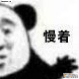 游戏中勿扰的表情包太狂了吧表情包下载乐游网游戏下载