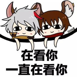 一份关于百里守约的使用说明书